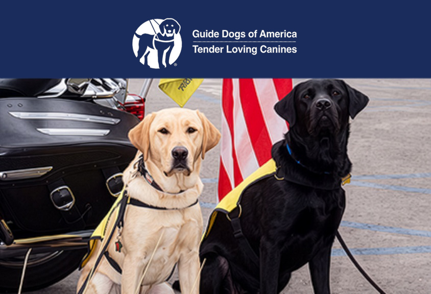 How Guide Dogs of America Uses Smart Sensors to Protect Animals, Food, and Indoor Air Quality